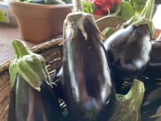 Eggplant