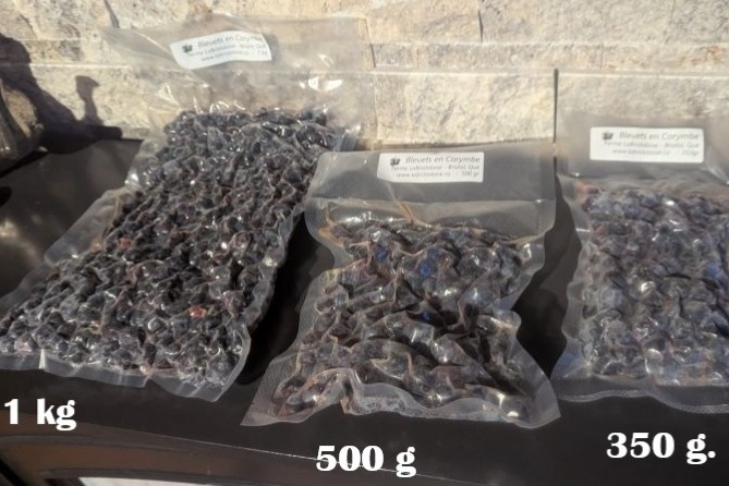 Bleuets en corymbe congelés , sacs scellés