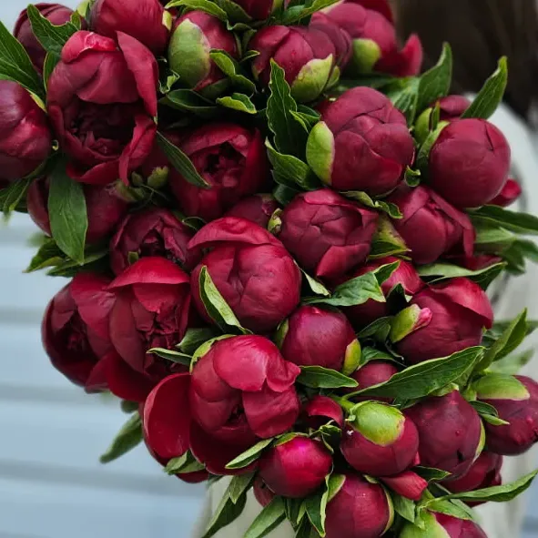 Bouquet de fleurs locales