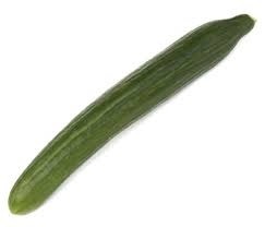 English organic cucumber