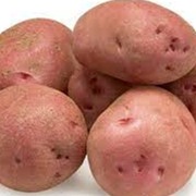Pommes de terre rouges bio
