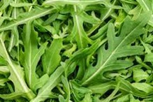 Roquette bio
