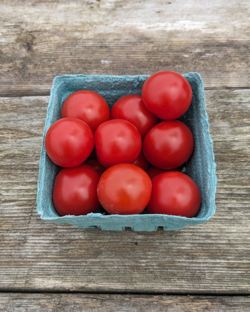 Tomates cerises rouges biologiques