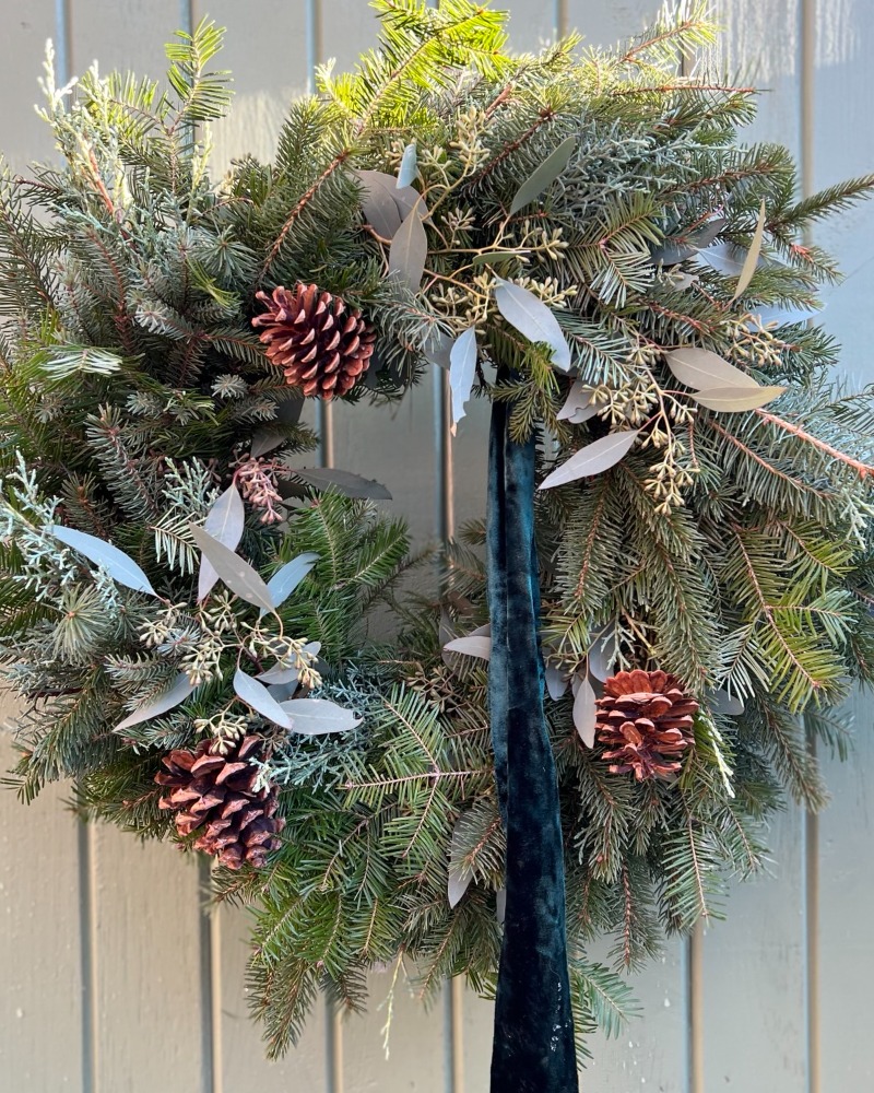 Couronne - La boréale