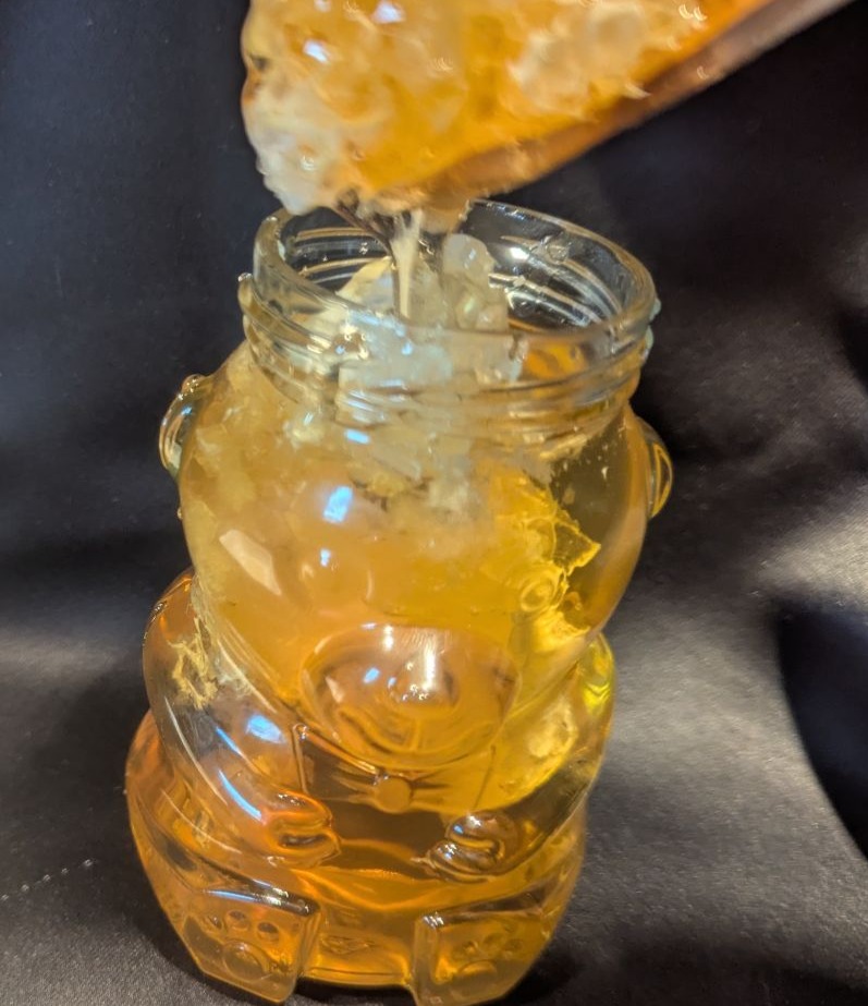 Miel et rayons de miel