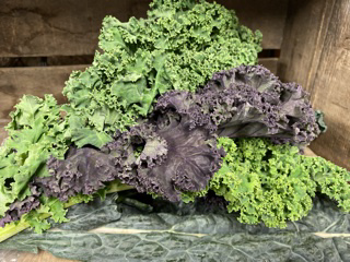 Kale mix lavé bio