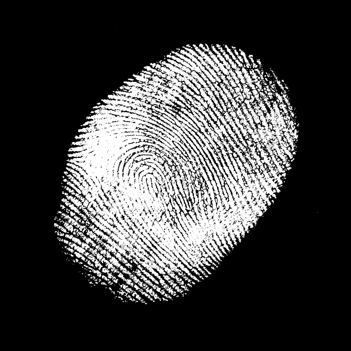 Vignoble La Cantina - Vallée d'Oka