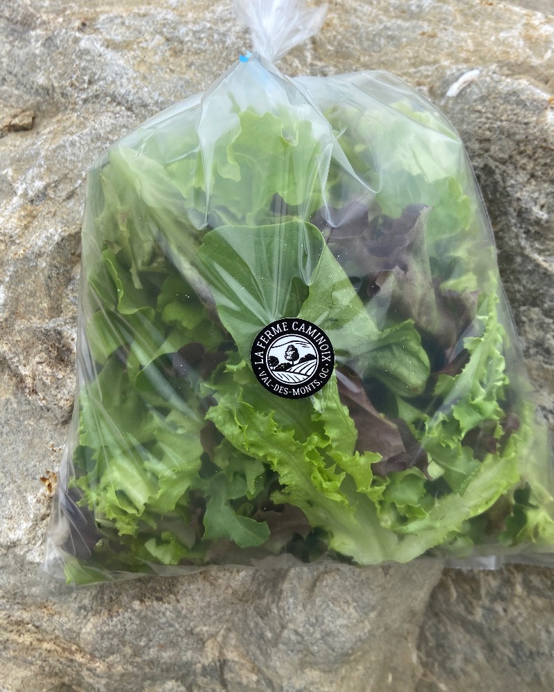 Mesclun biologique (250 g) pré-lavé
