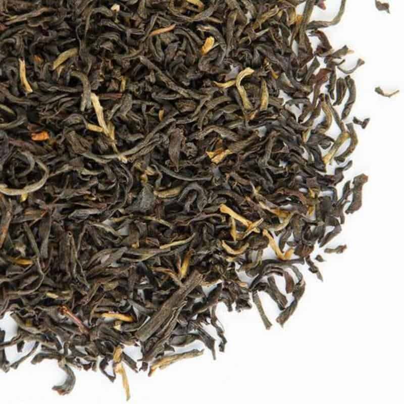 Assam Gingia (noir-Inde)