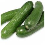 Lebanese cucumber