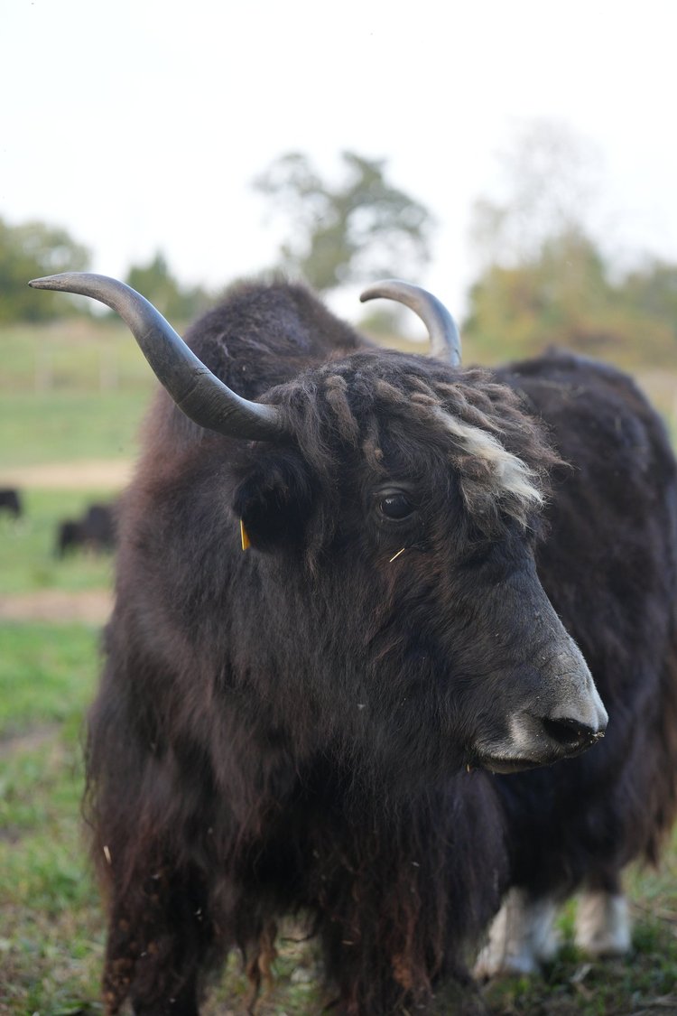 Ferme Pure Conscience