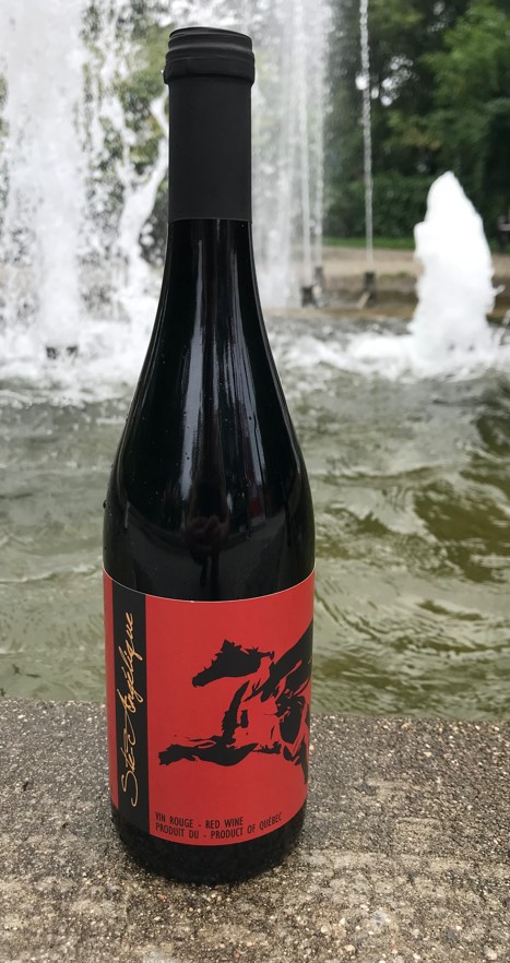 Vin rouge - L’Oublié 2020